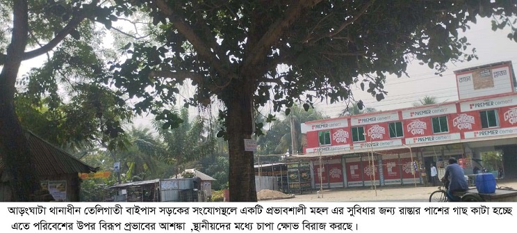 তেলিগাতী বাইপাসে  রাস্তার পাশের গাছ কাটায় হুমকিতে পরিবেশ
